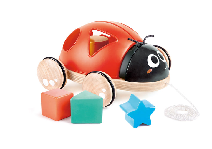 Hape lajitteluleppäkerttu