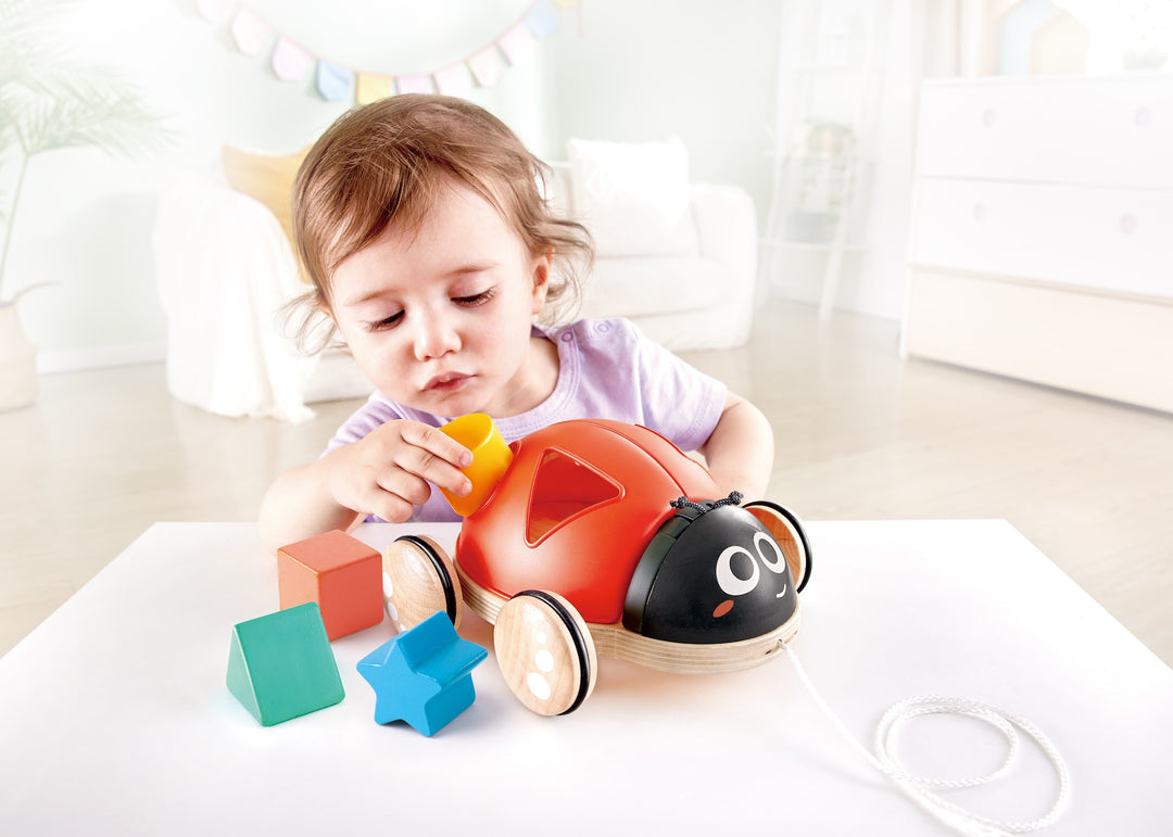 Hape lajitteluleppäkerttu