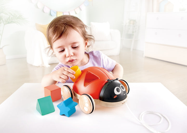 Hape lajitteluleppäkerttu