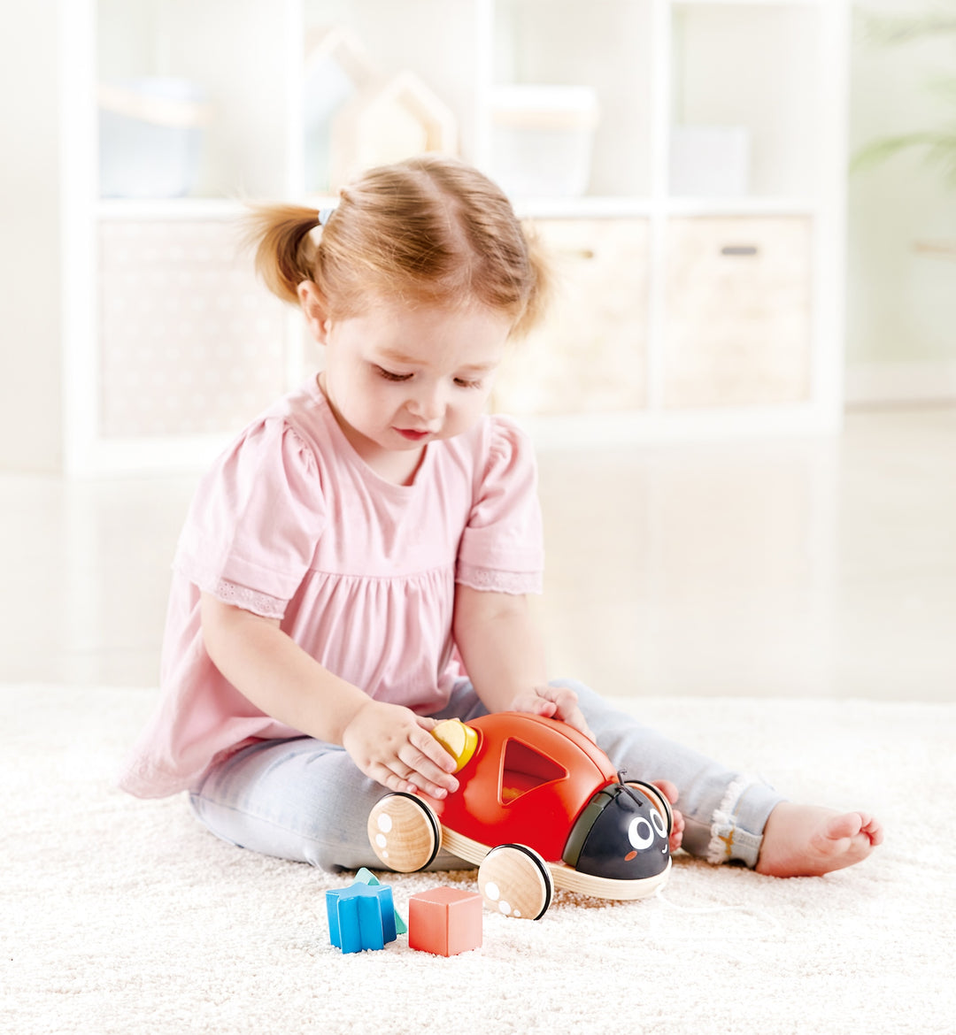 Hape lajitteluleppäkerttu
