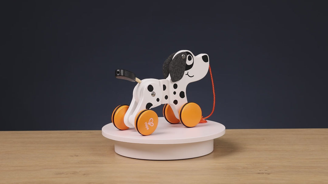 Hape Dalmatiankoira vetolelu